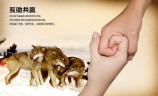 鎮(zhèn)江奧展中心采用304不銹鋼裝飾管